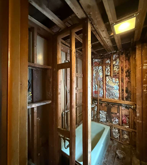 Bathroom Demo